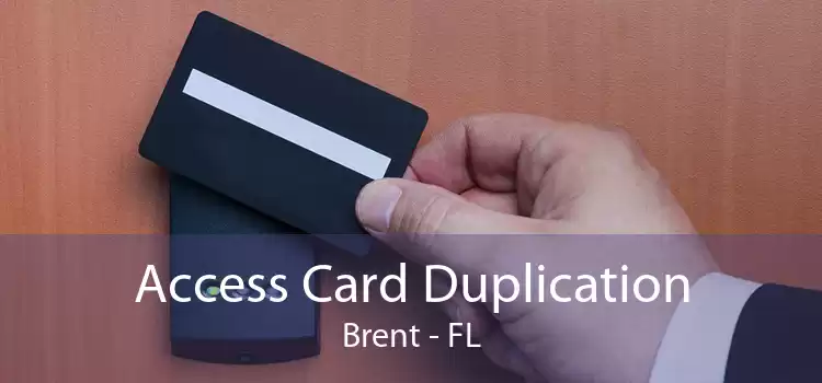 Access Card Duplication Brent - FL