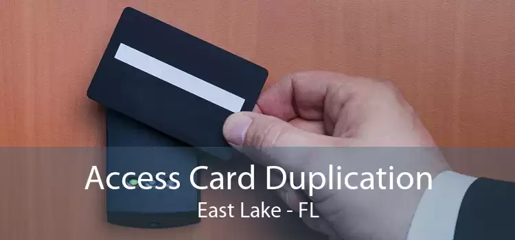 Access Card Duplication East Lake - FL