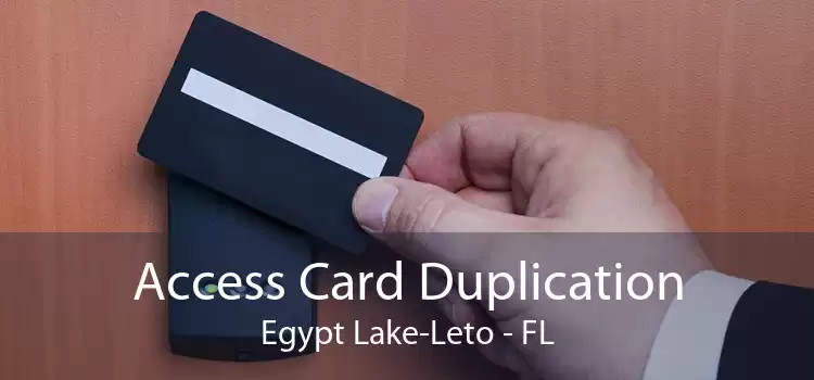Access Card Duplication Egypt Lake-Leto - FL