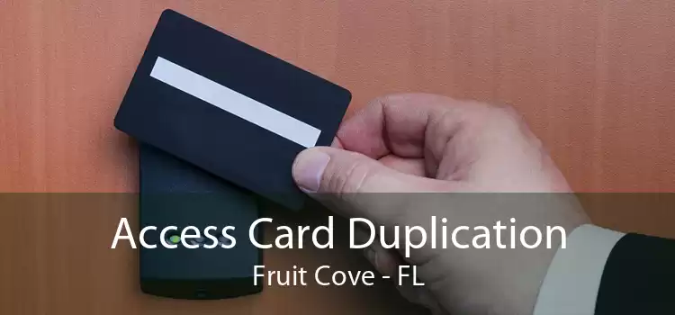 Access Card Duplication Fruit Cove - FL