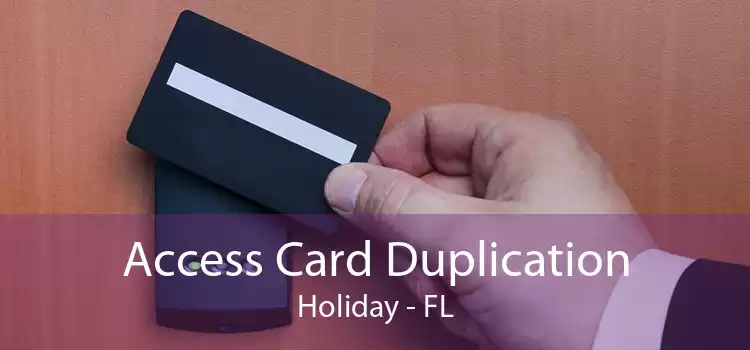 Access Card Duplication Holiday - FL