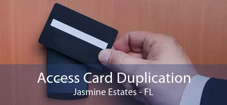 Access Card Duplication Jasmine Estates - FL