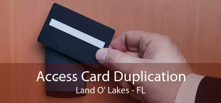 Access Card Duplication Land O' Lakes - FL