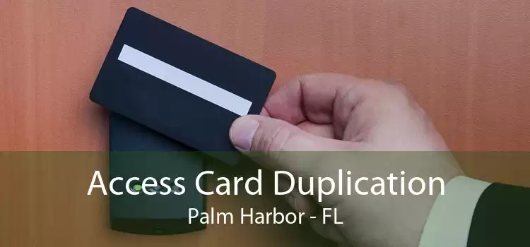 Access Card Duplication Palm Harbor - FL
