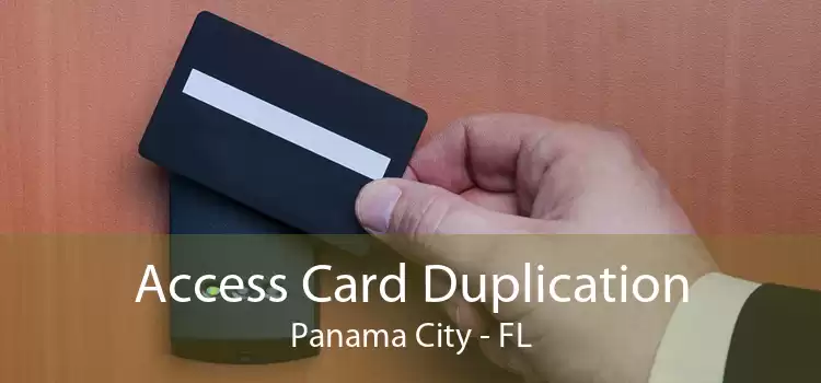 Access Card Duplication Panama City - FL