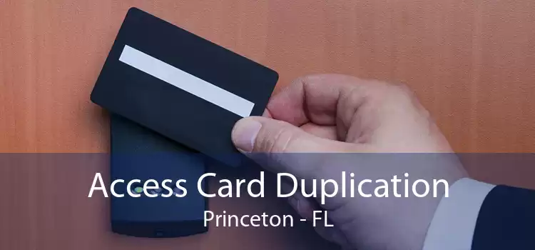 Access Card Duplication Princeton - FL