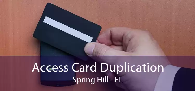 Access Card Duplication Spring Hill - FL