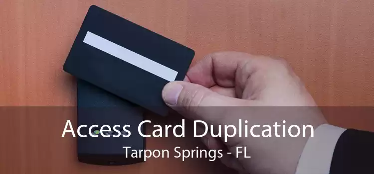 Access Card Duplication Tarpon Springs - FL