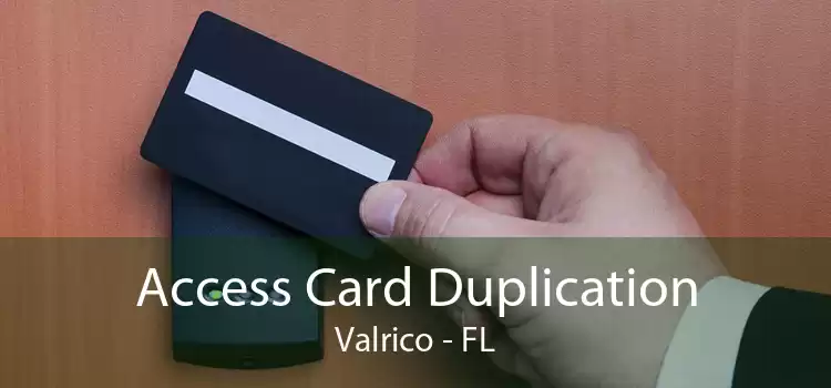Access Card Duplication Valrico - FL