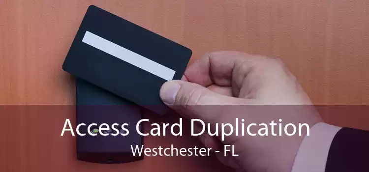 Access Card Duplication Westchester - FL