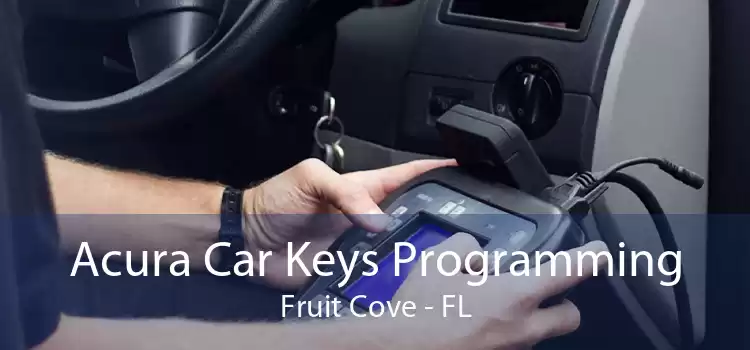Acura Car Keys Programming Fruit Cove - FL