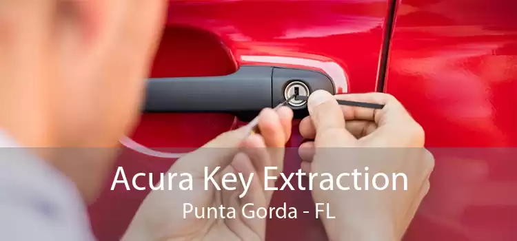 Acura Key Extraction Punta Gorda - FL