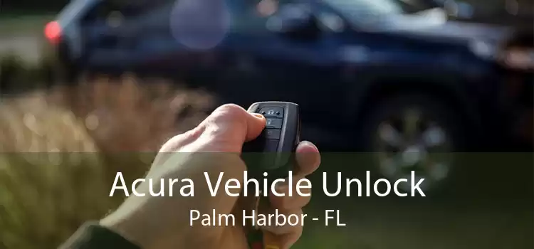 Acura Vehicle Unlock Palm Harbor - FL