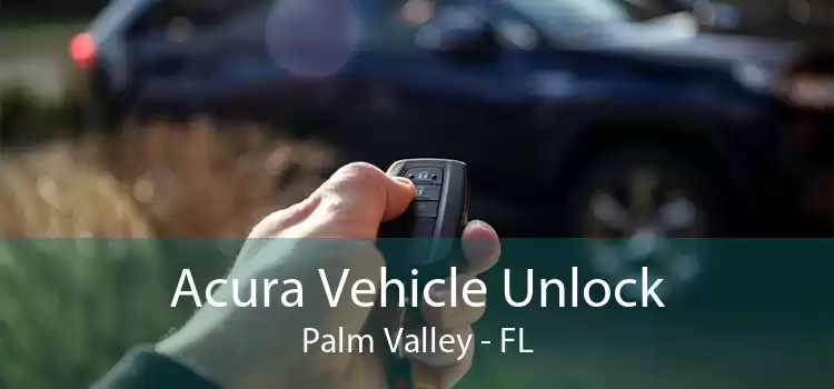 Acura Vehicle Unlock Palm Valley - FL