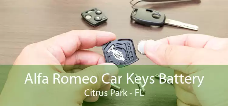 Alfa Romeo Car Keys Battery Citrus Park - FL