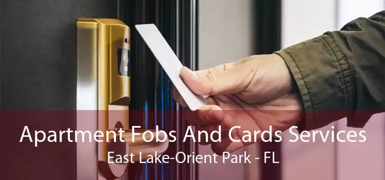 Apartment Fobs And Cards Services East Lake-Orient Park - FL