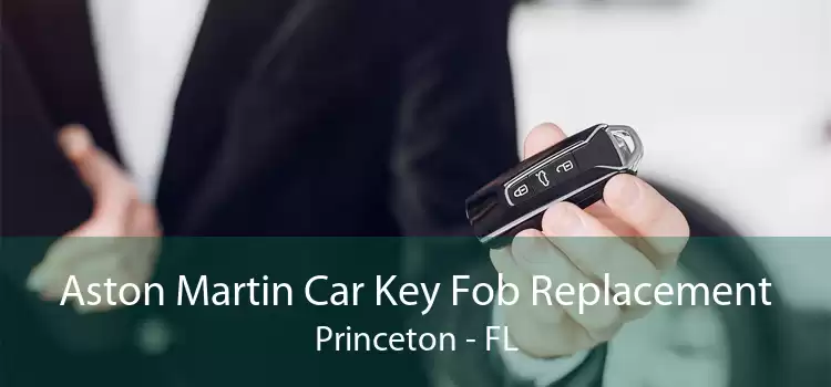 Aston Martin Car Key Fob Replacement Princeton - FL
