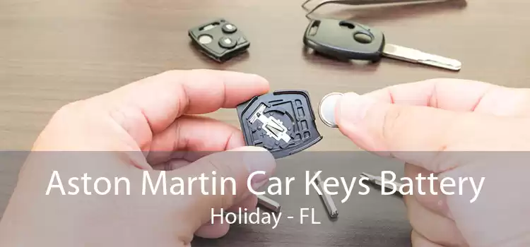 Aston Martin Car Keys Battery Holiday - FL