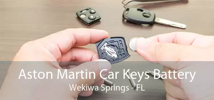 Aston Martin Car Keys Battery Wekiwa Springs - FL