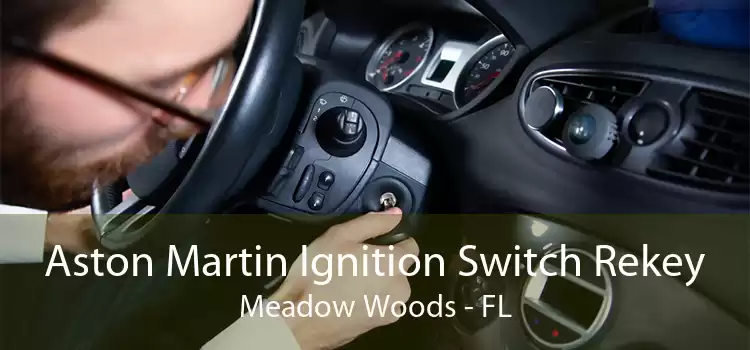 Aston Martin Ignition Switch Rekey Meadow Woods - FL