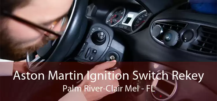 Aston Martin Ignition Switch Rekey Palm River-Clair Mel - FL