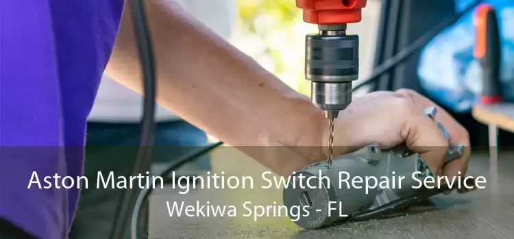 Aston Martin Ignition Switch Repair Service Wekiwa Springs - FL