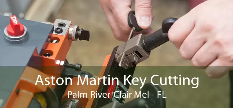 Aston Martin Key Cutting Palm River-Clair Mel - FL