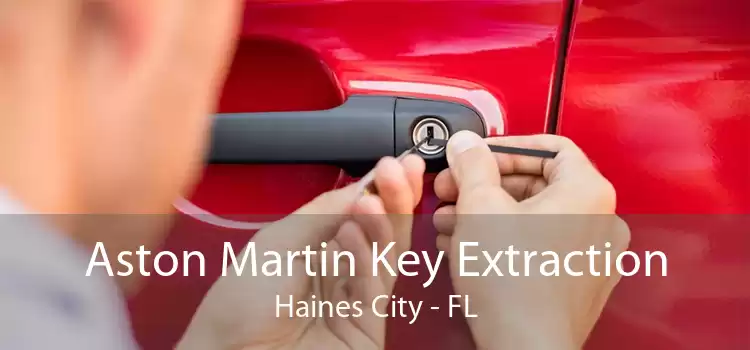 Aston Martin Key Extraction Haines City - FL