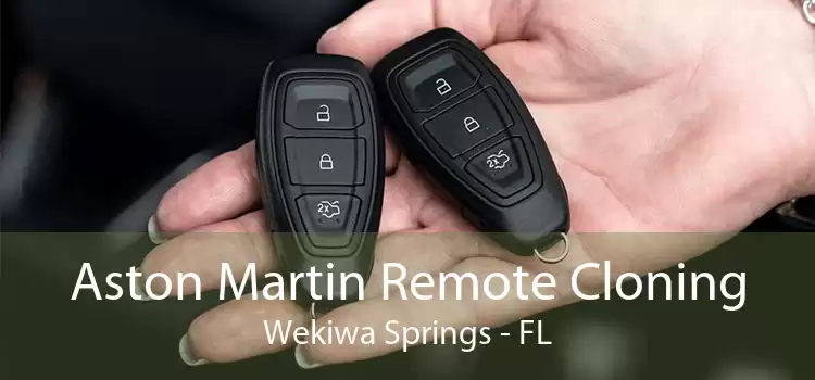 Aston Martin Remote Cloning Wekiwa Springs - FL