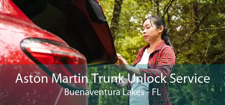 Aston Martin Trunk Unlock Service Buenaventura Lakes - FL