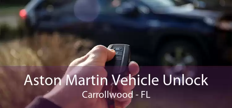 Aston Martin Vehicle Unlock Carrollwood - FL