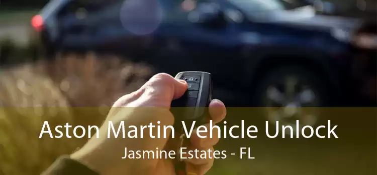 Aston Martin Vehicle Unlock Jasmine Estates - FL