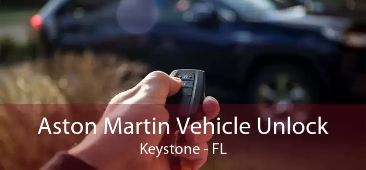 Aston Martin Vehicle Unlock Keystone - FL