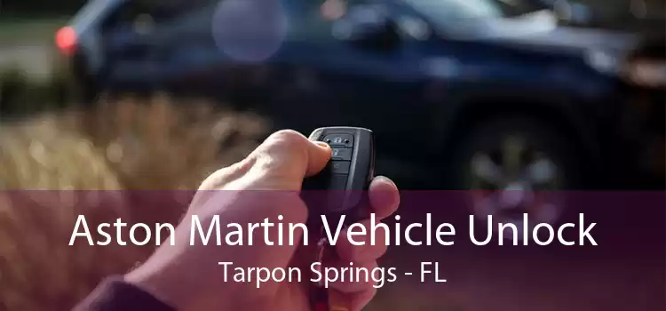 Aston Martin Vehicle Unlock Tarpon Springs - FL