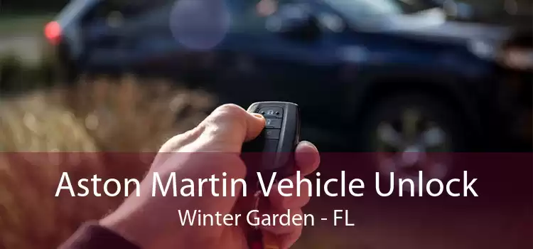 Aston Martin Vehicle Unlock Winter Garden - FL