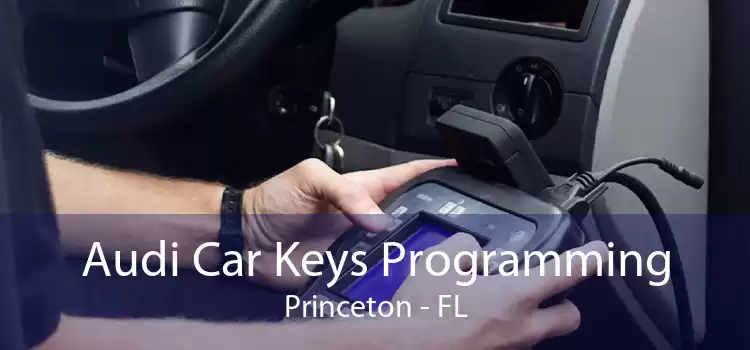 Audi Car Keys Programming Princeton - FL
