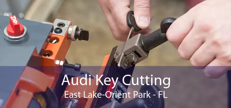 Audi Key Cutting East Lake-Orient Park - FL