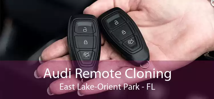 Audi Remote Cloning East Lake-Orient Park - FL
