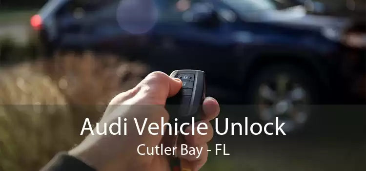 Audi Vehicle Unlock Cutler Bay - FL