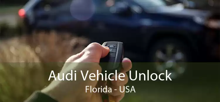 Audi Vehicle Unlock Florida - USA