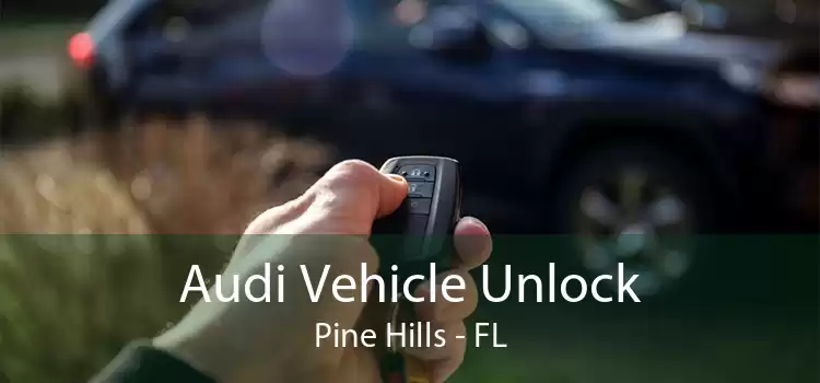 Audi Vehicle Unlock Pine Hills - FL