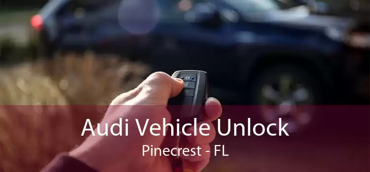 Audi Vehicle Unlock Pinecrest - FL