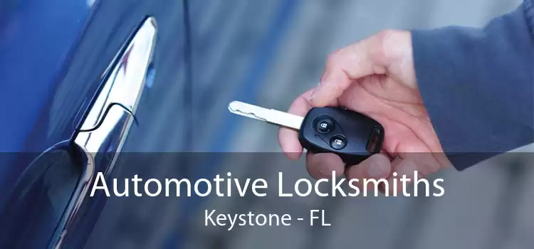Automotive Locksmiths Keystone - FL