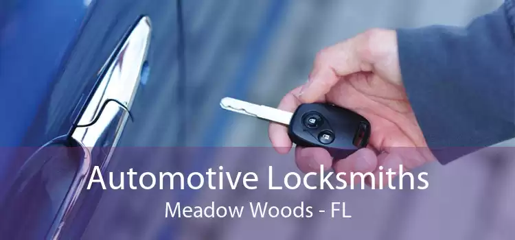 Automotive Locksmiths Meadow Woods - FL