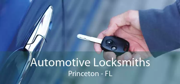 Automotive Locksmiths Princeton - FL