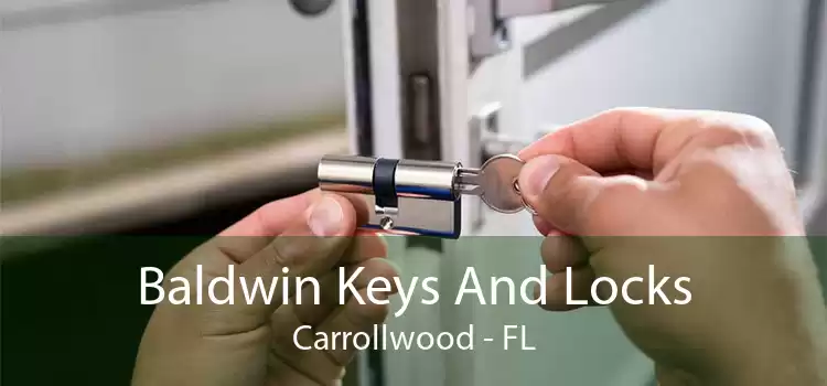 Baldwin Keys And Locks Carrollwood - FL