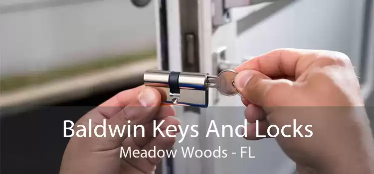 Baldwin Keys And Locks Meadow Woods - FL