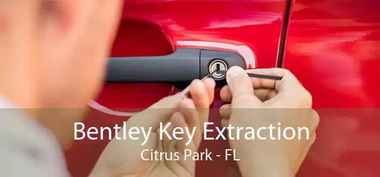 Bentley Key Extraction Citrus Park - FL