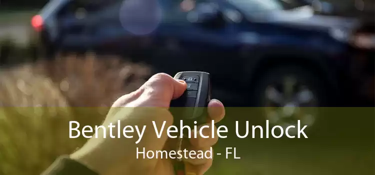 Bentley Vehicle Unlock Homestead - FL
