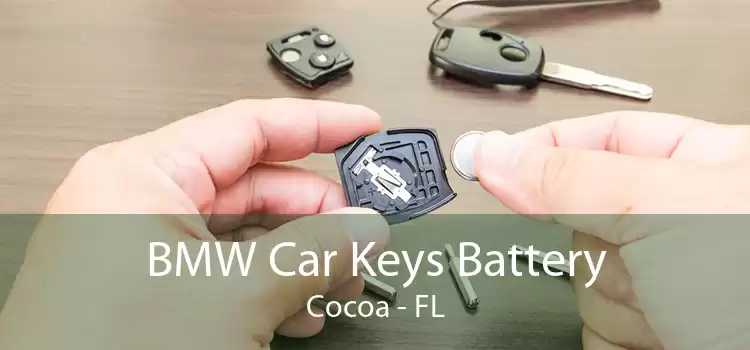 BMW Car Keys Battery Cocoa - FL